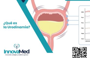 WhatsApp Image 2024-03-01 at 4.36.45 PM (3)