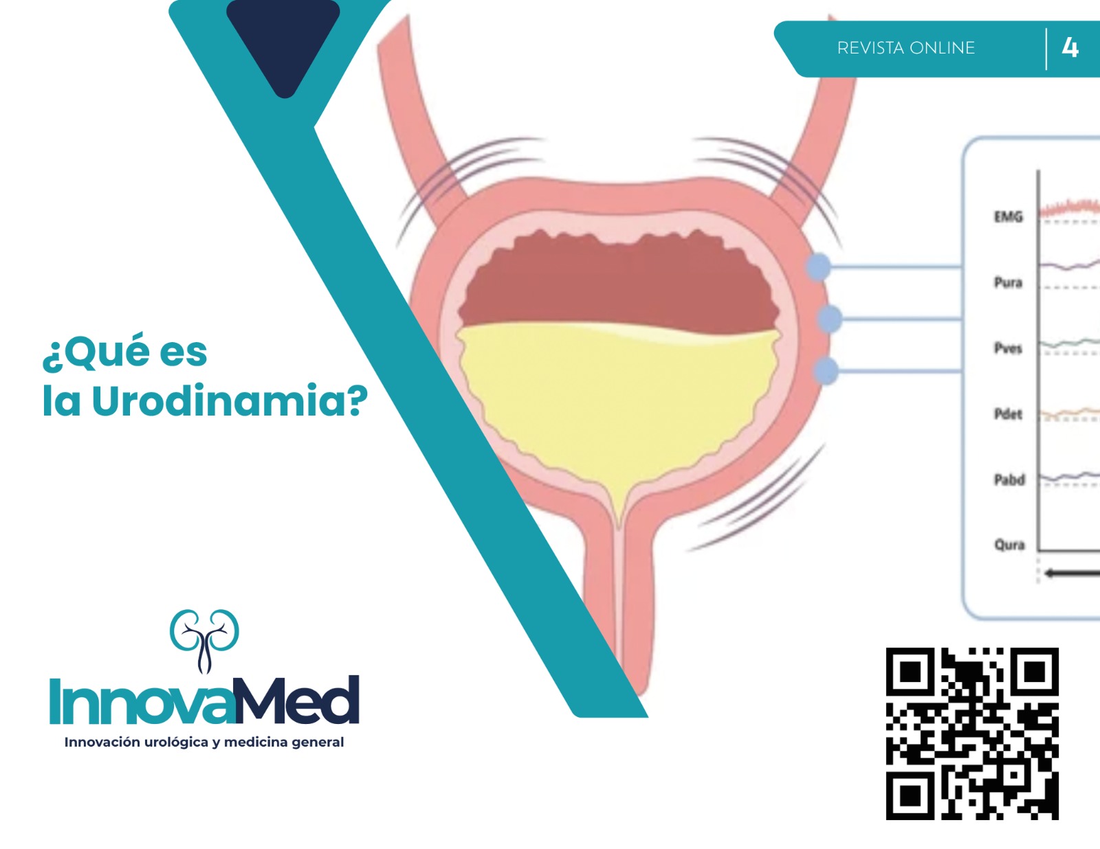 WhatsApp Image 2024-03-01 at 4.36.45 PM (3)