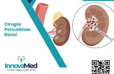 WhatsApp Image 2024-03-01 at 4.36.45 PM