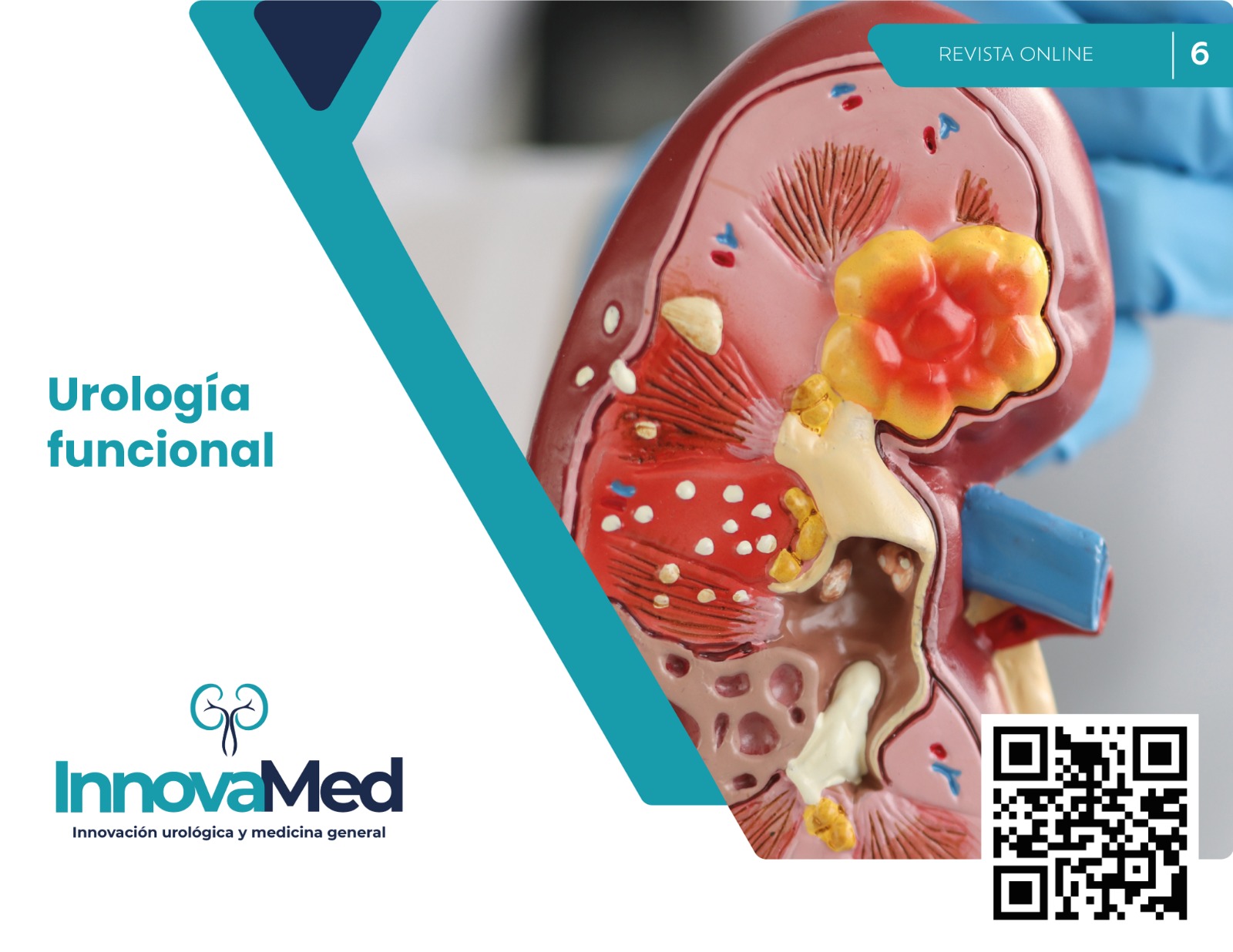 WhatsApp Image 2024-03-01 at 4.37.17 PM (1)