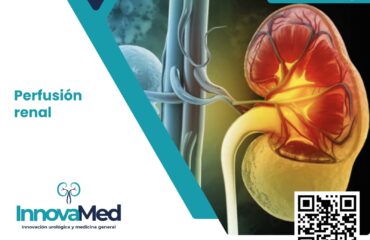 WhatsApp Image 2024-03-01 at 4.37.17 PM (3)