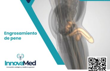 WhatsApp Image 2024-03-01 at 4.37.17 PM