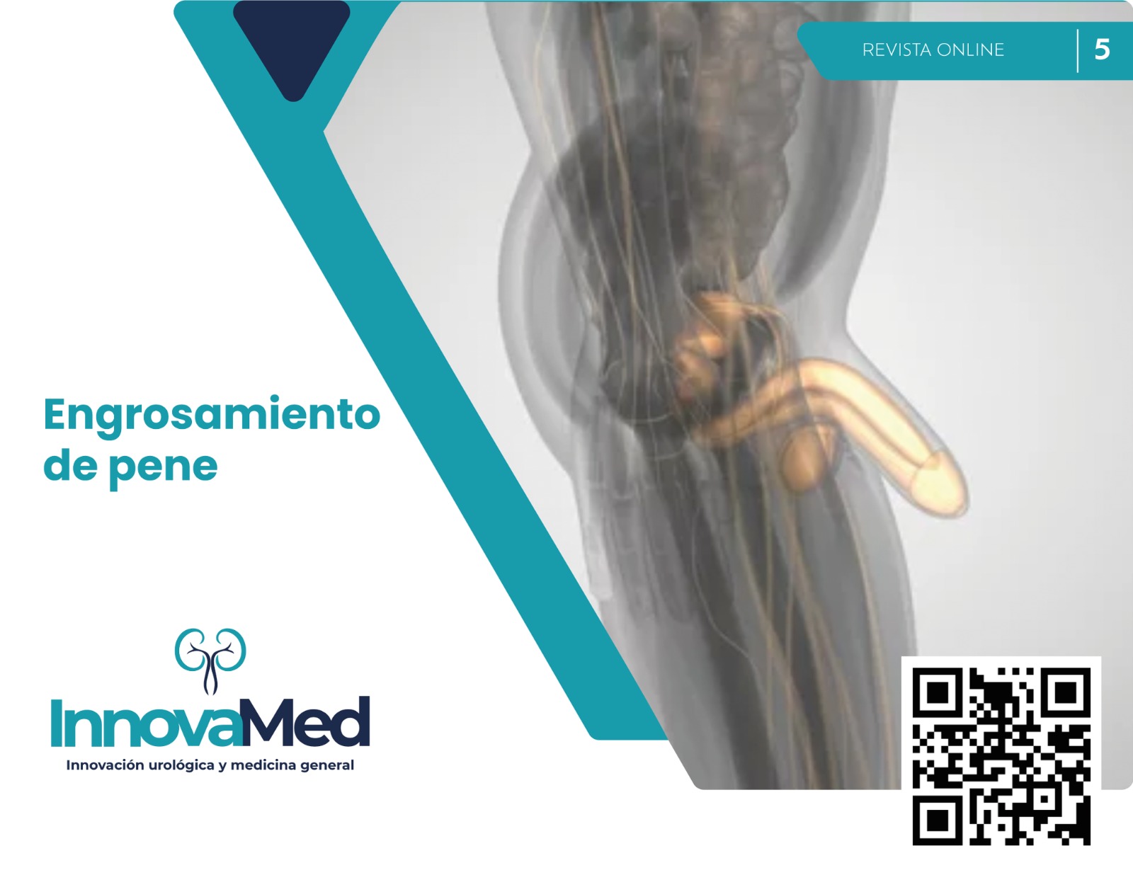 WhatsApp Image 2024-03-01 at 4.37.17 PM